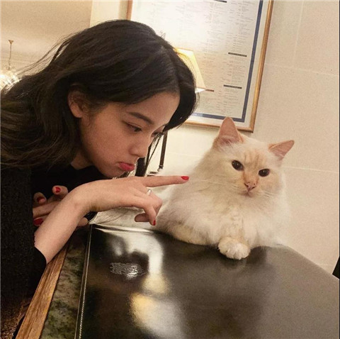 男牛和女猪婚姻状况 男牛女猪婚姻是否相配